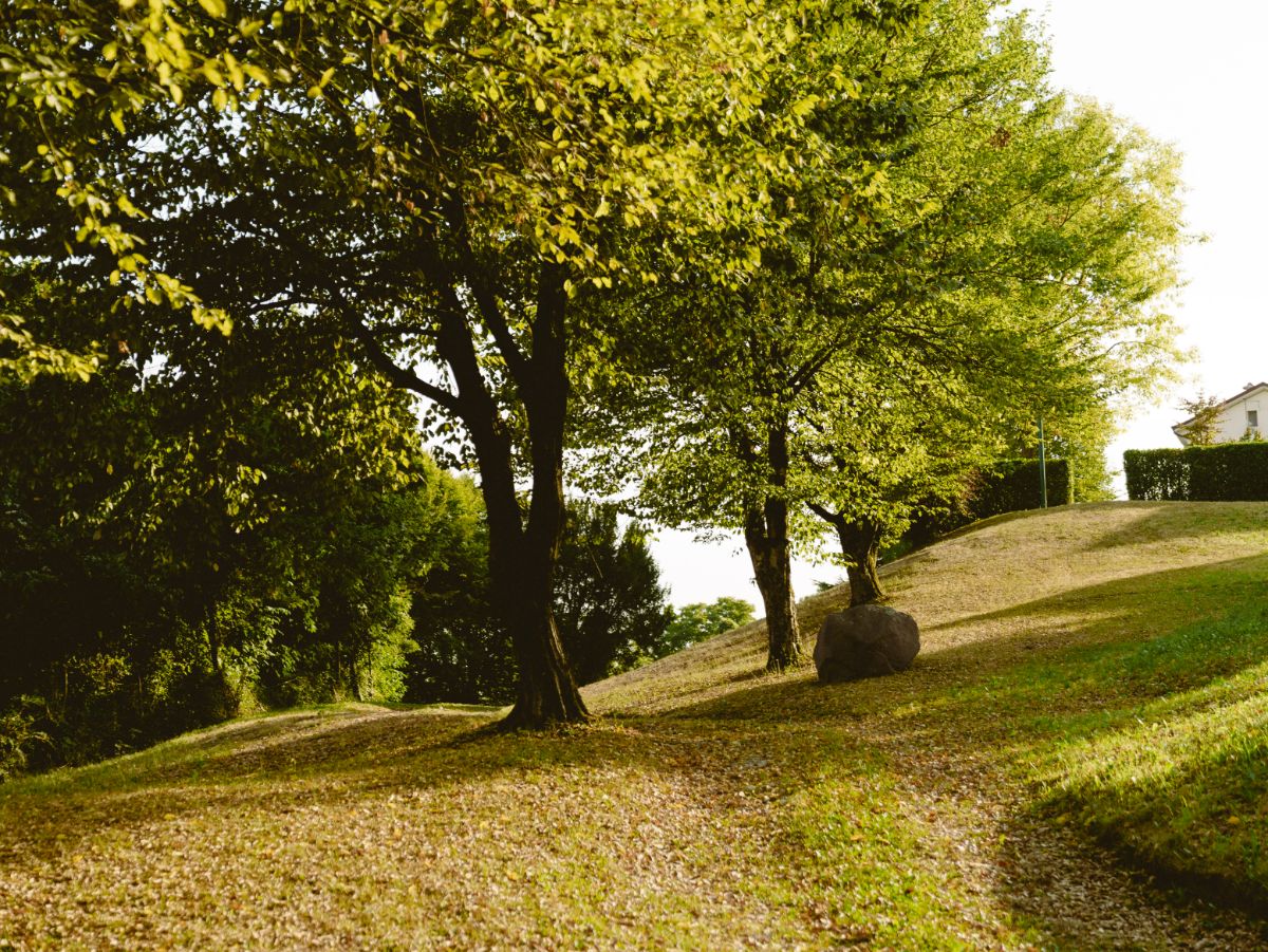 The park